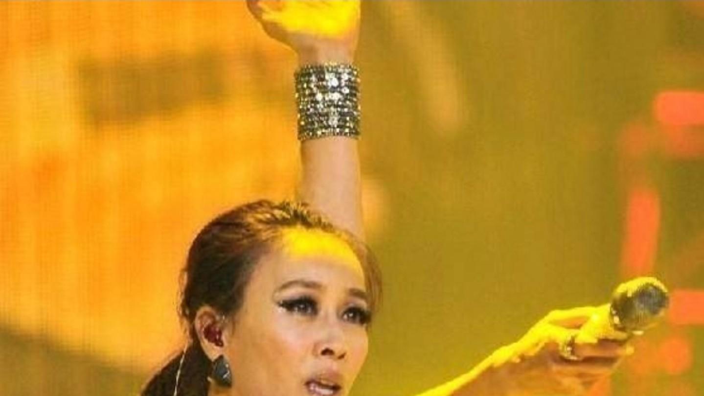 天后“失语”之际，官方歌迷会“跑路”，那英的后院为何也大火