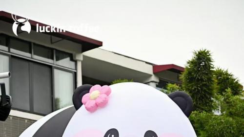 城市文化设计师王成福：城市文化IP打造将成为中国城市新赛点