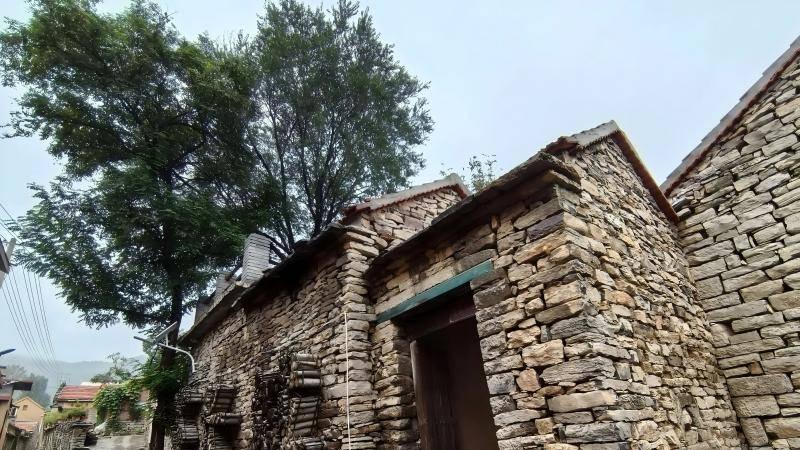 千年明珠：石子口村的历史与文化探秘