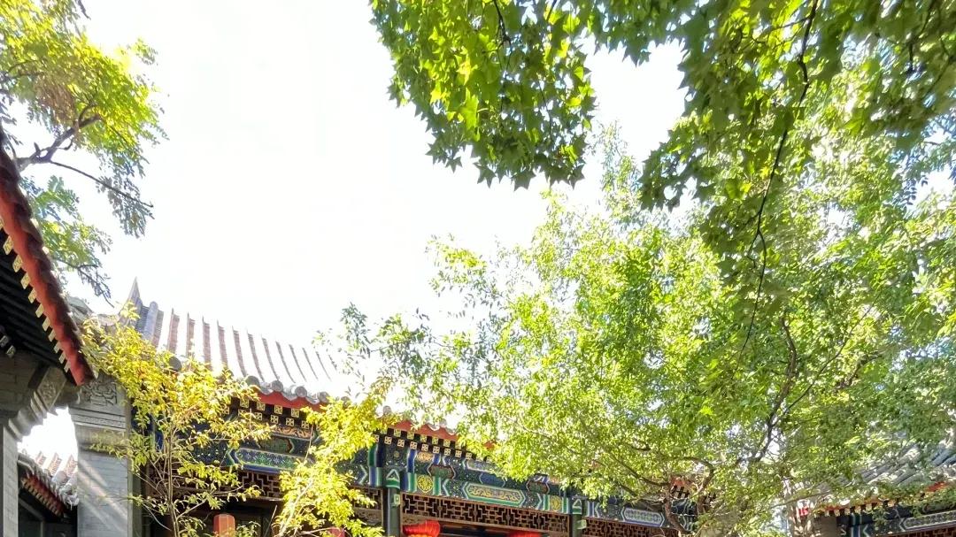 一个优雅的院子，都是养出来的