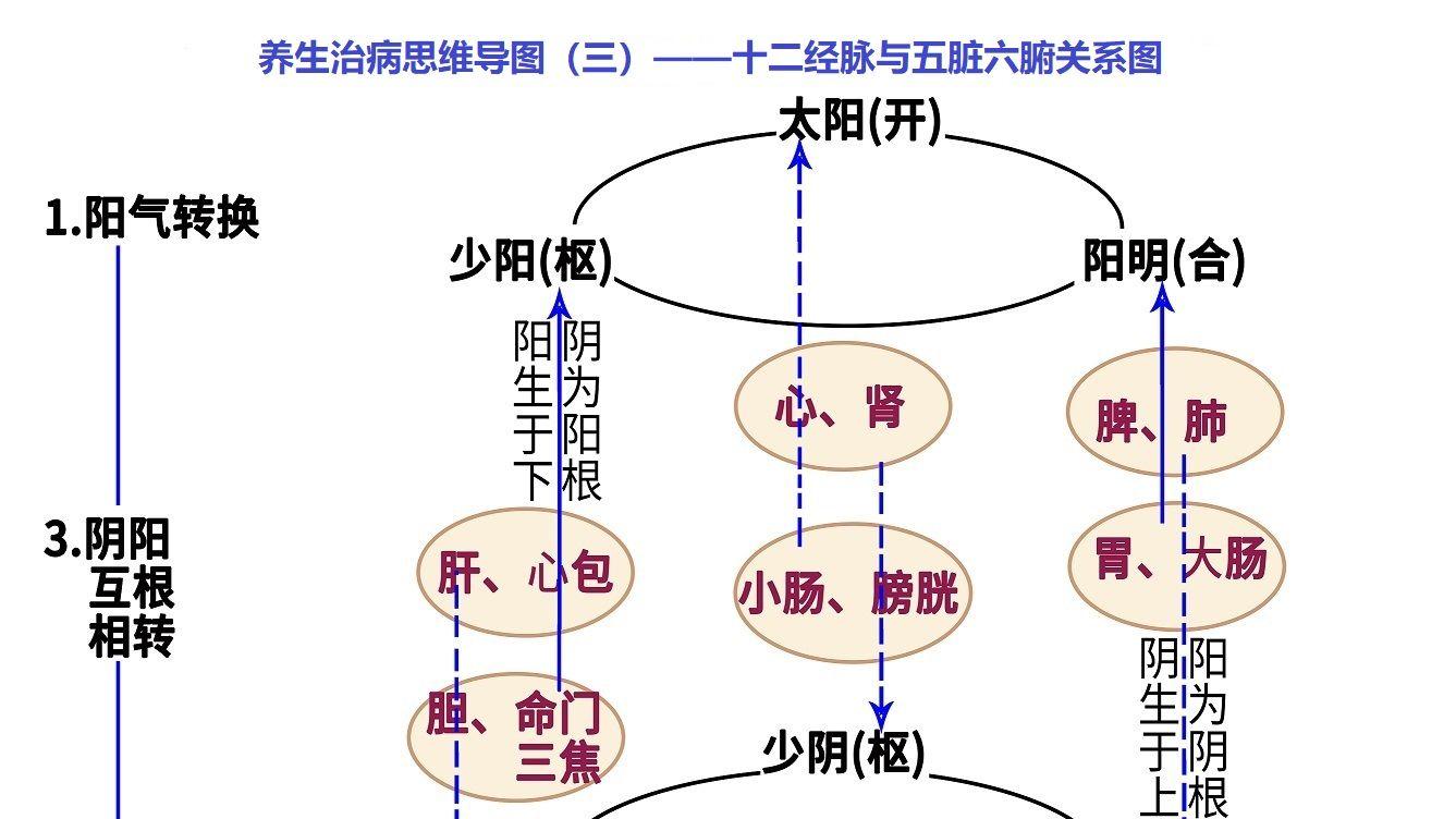几千年来，还未见有人说清楚“中气的来源”
