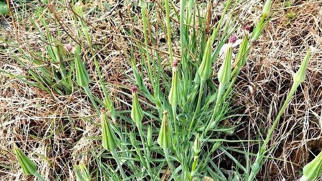 稀罕美味！不容错过，一周三顿除湿寒