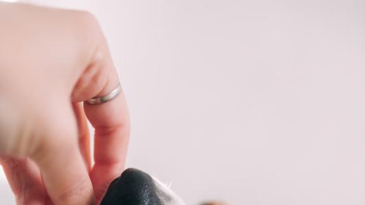 狗狗饮食中的盐分控制