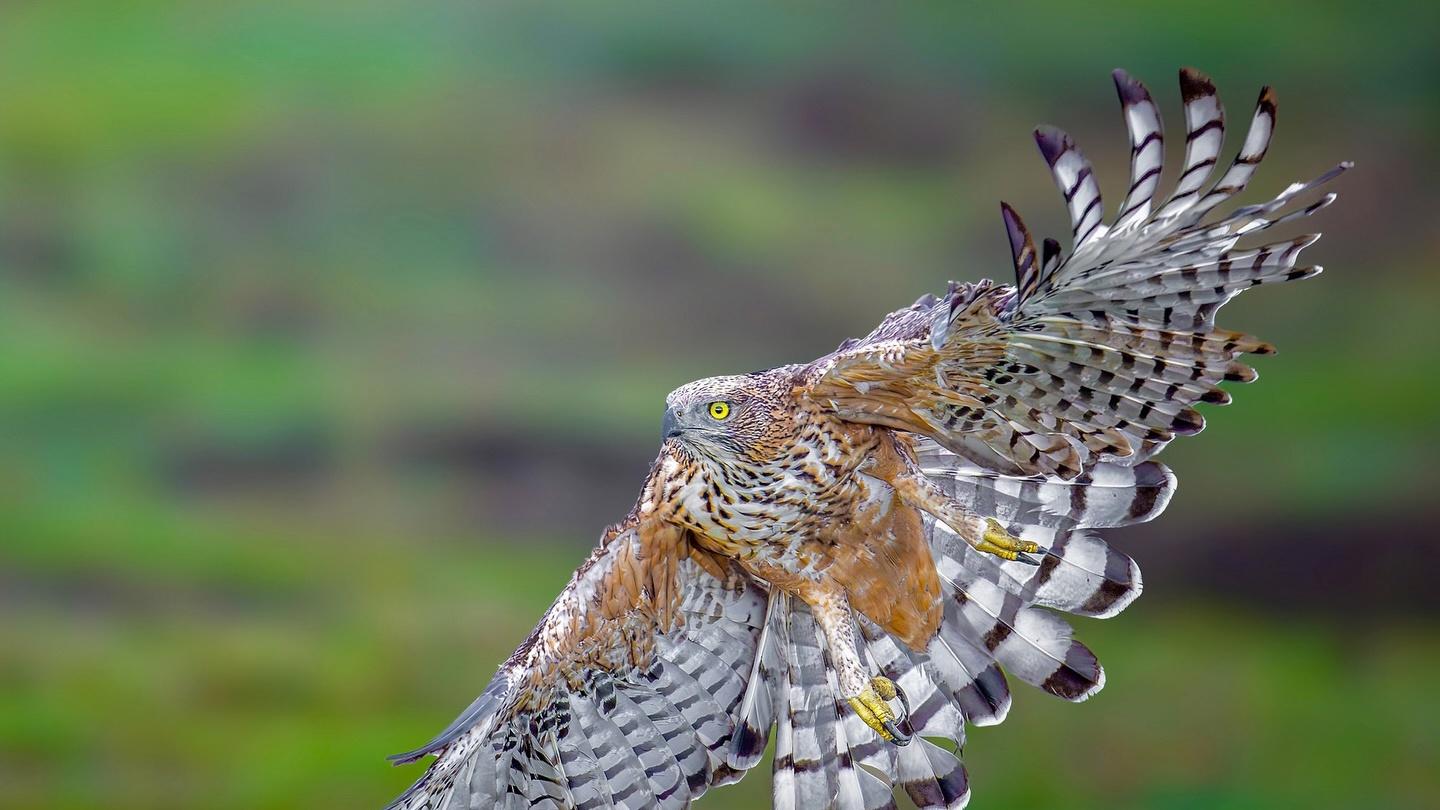 内向的人不适合做管理？错，这才是你的优势