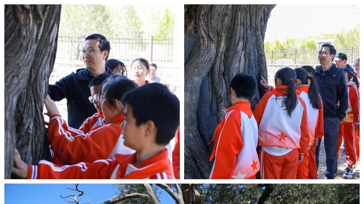 密云区新城子镇中心小学：“行走的思政课堂”带孩子们探秘家乡“四古”，厚植家国情怀