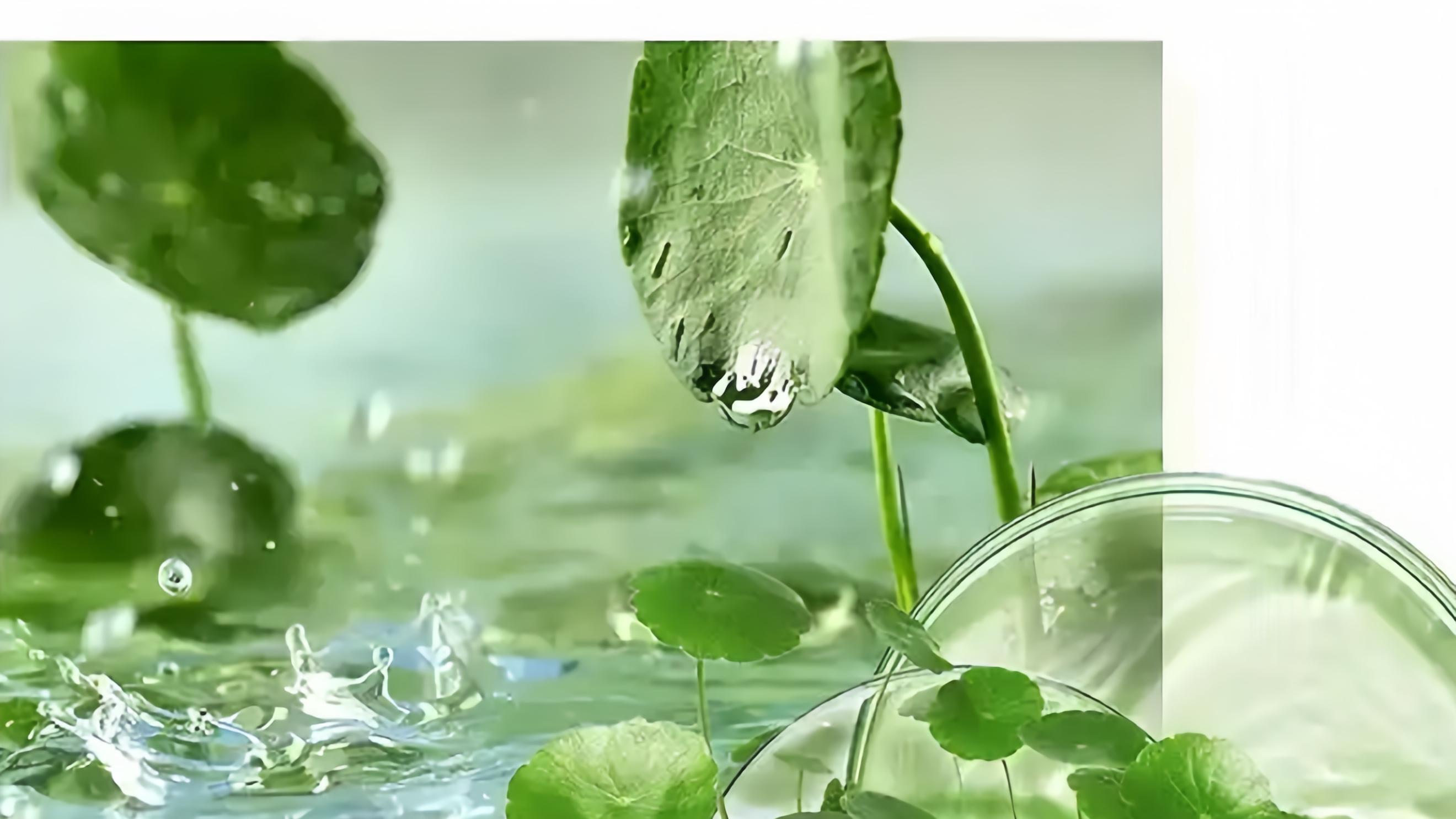 场景破界与绿色共生：化妆品OEM定制的革新之力