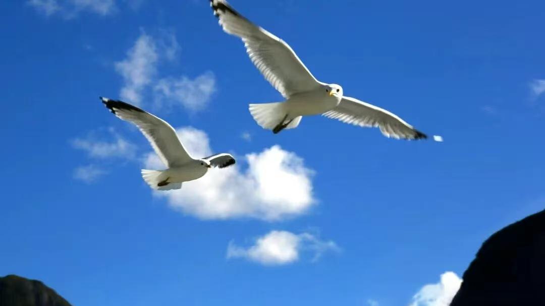 生源普通也敢碰五大学科竞赛，关键还硕果累累！合肥四中，何以能？