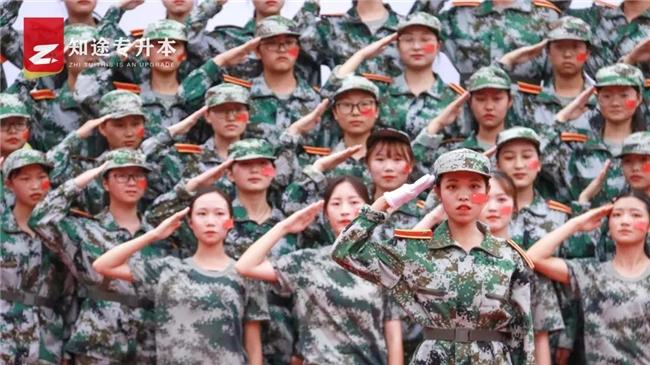 从大一到大三，知途专升本告诉你：什么时候准备升本最高效?