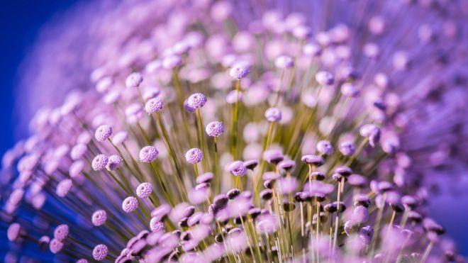 六月末有特大喜事发生，机遇不断，好事连连的三个生肖