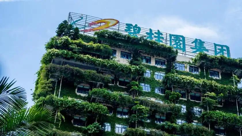 碧桂园地产集团等被执行4.2亿