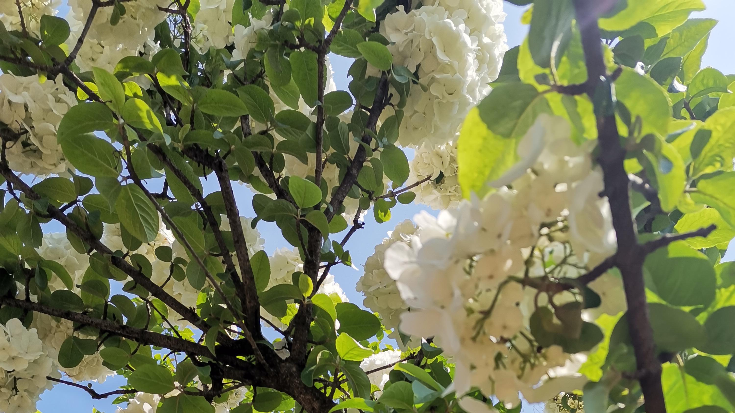 优质朋友是拿来干什么的？