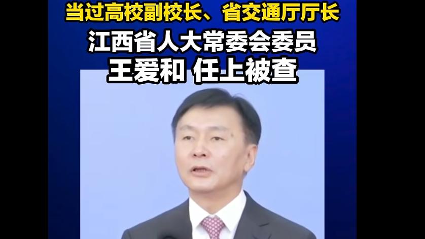 从辅导员到厅长，王爱和的堕落轨迹藏了多少猫腻？