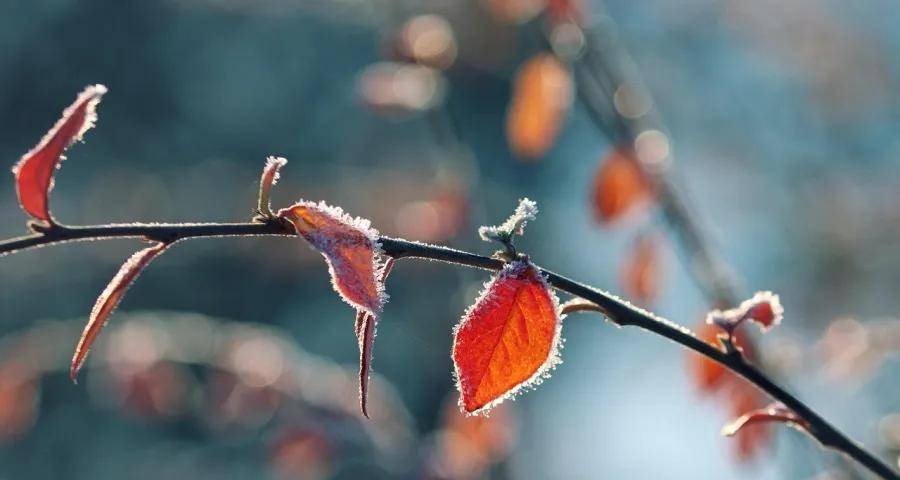 美的家电业务新年度连烧“三把火”