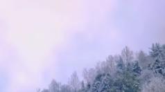 东北农村过冬真相：比零下30℃更绝望的是这些