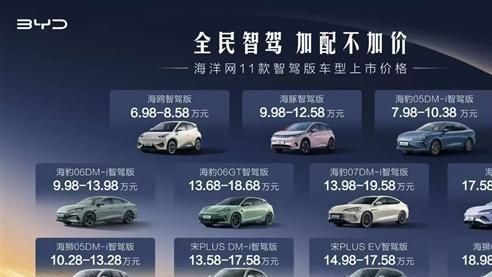 智驾时代，比亚迪卷翻全场？