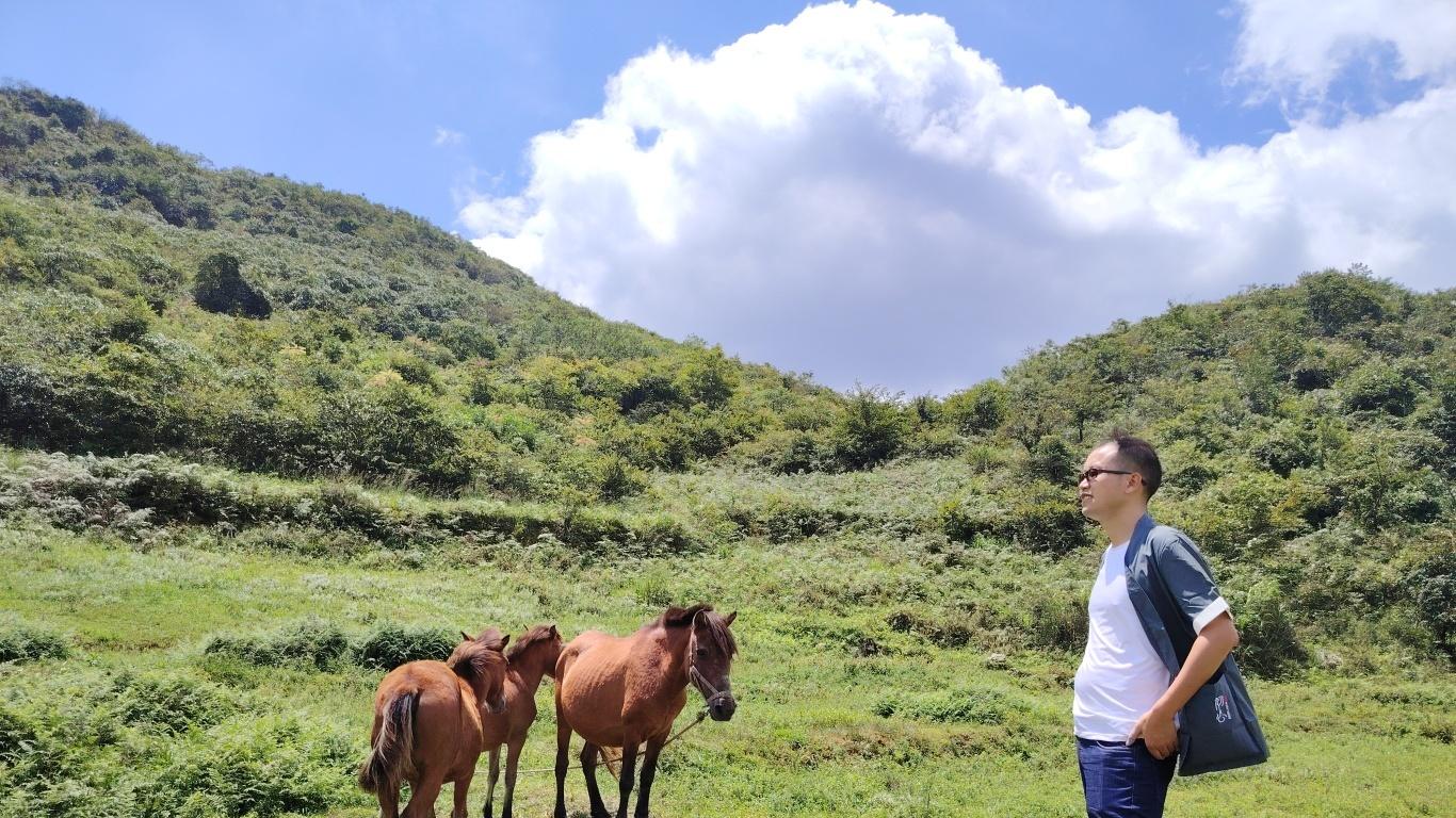 交易这玩意儿，说到底，就是个动物世界