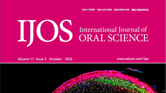 【IJOS封面文章】PLAGL1在出生后髁突成骨过程中发挥关键作用