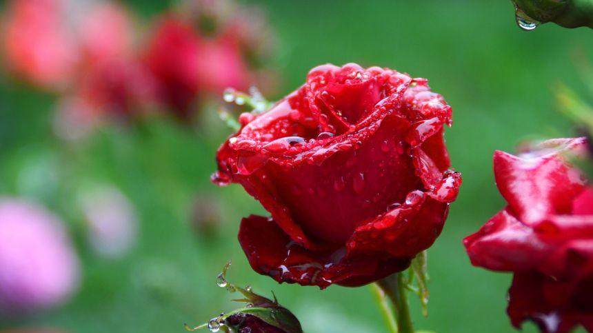 别让一时的 “狂”，毁了自己