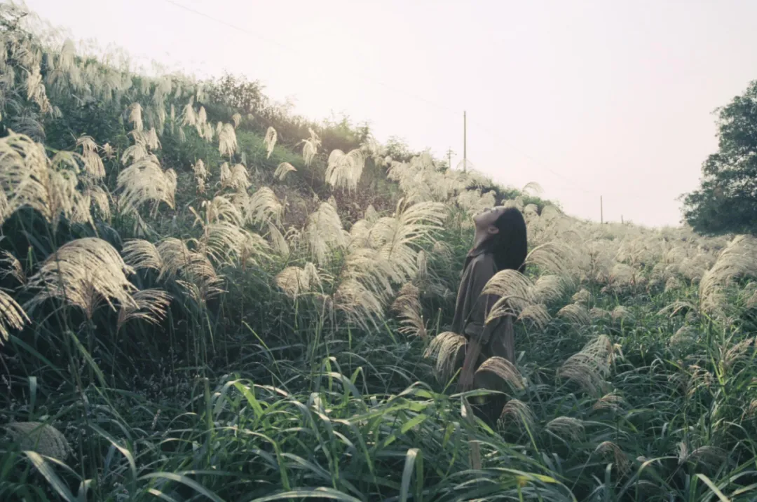 从爱一个人到不爱一个人是什么感觉？