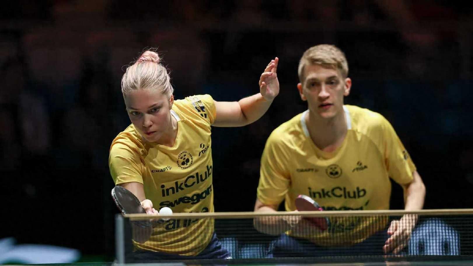 日本队横扫瑞典队，和国乒同积8分，德国队击败克罗地亚队