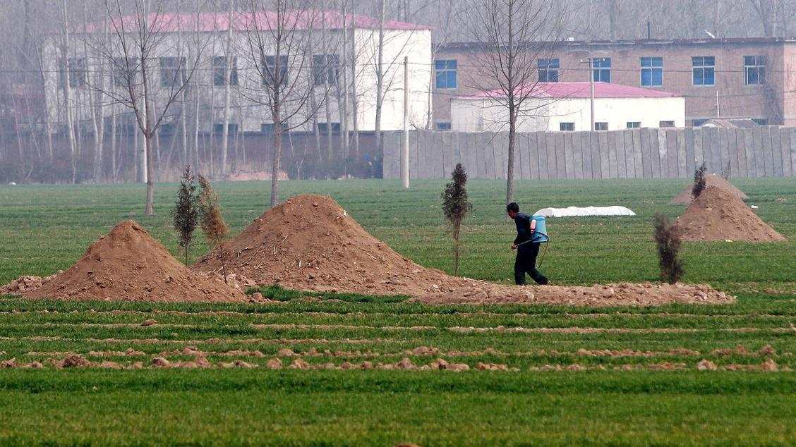 爷爷走了，奶奶却找到了家的温暖，未来的路，还会更长吗？