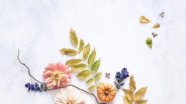 适合万圣节发的朋友圈祝福文案，精美走心，人见人爱！