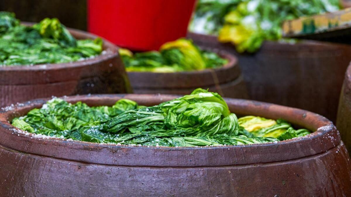 绝了！腌酸菜放盐门道多，一文全掌握