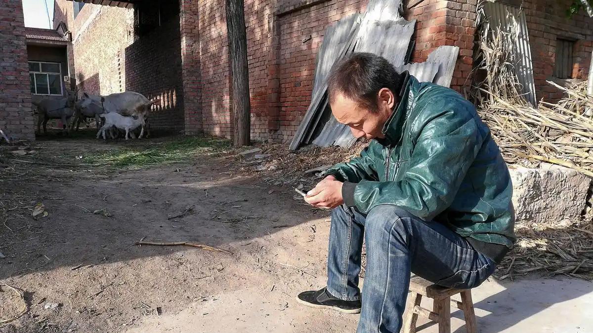 别做梦了，还想着养儿防老，他自身都难保，光棍一个躺平了