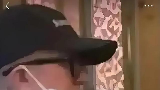 倒反天罡！台法医将大S病逝的主要责任推给导游，刷新三观