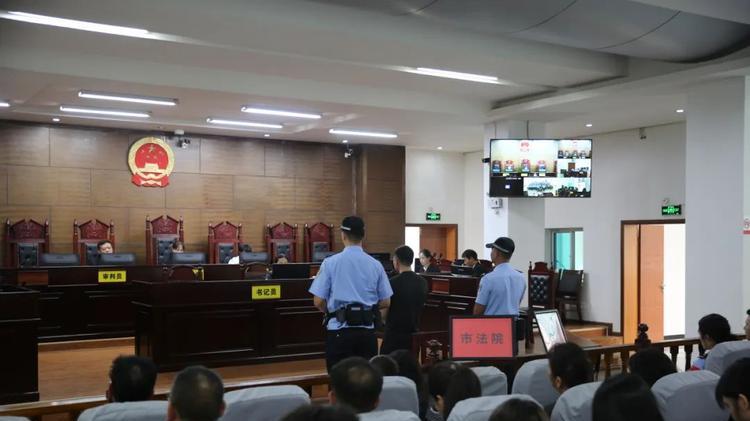 血色蜜月：新婚妻子遭家暴致盲案终审维持原判，11年刑期背后的警示录