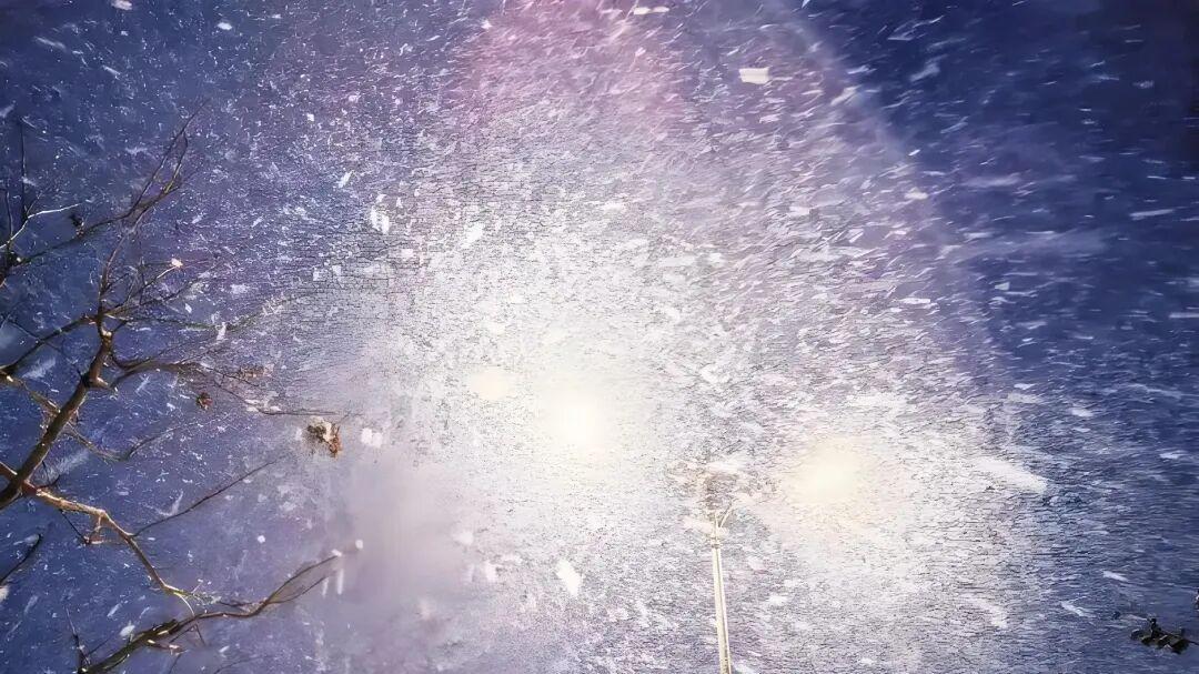 七律·漫天琼雪韵豪情