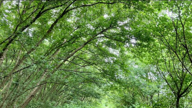 从校园初恋到选择离婚，我在亲密关系里重启人生｜三十之辈19