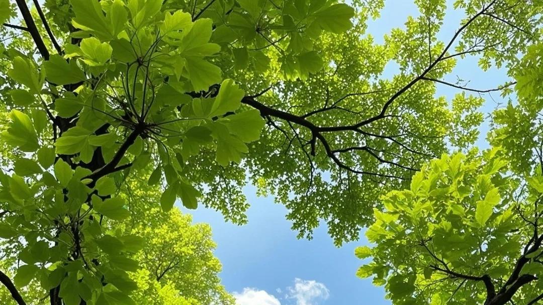 被焦虑困住的人，都该看看这 6 段话！看完突然不慌了