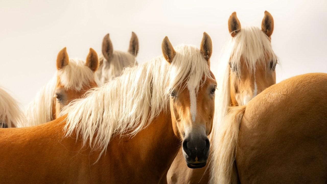 摄影后期如何合理设置色温？