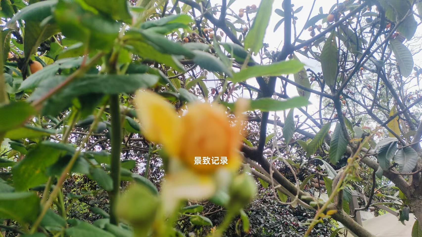 景致记录：在费城，狄更斯看见诡异大楼，参观令人绝望的东反省院