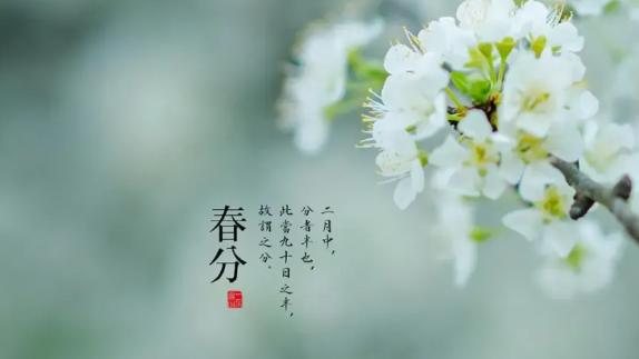 春分雨脚落声微，柳岸斜风带客归。