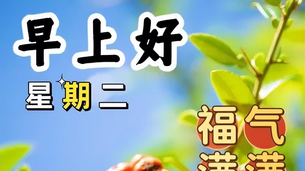 早安温暖人心的唯美句子，每天送祝福早上好问候语，祝你幸福安康