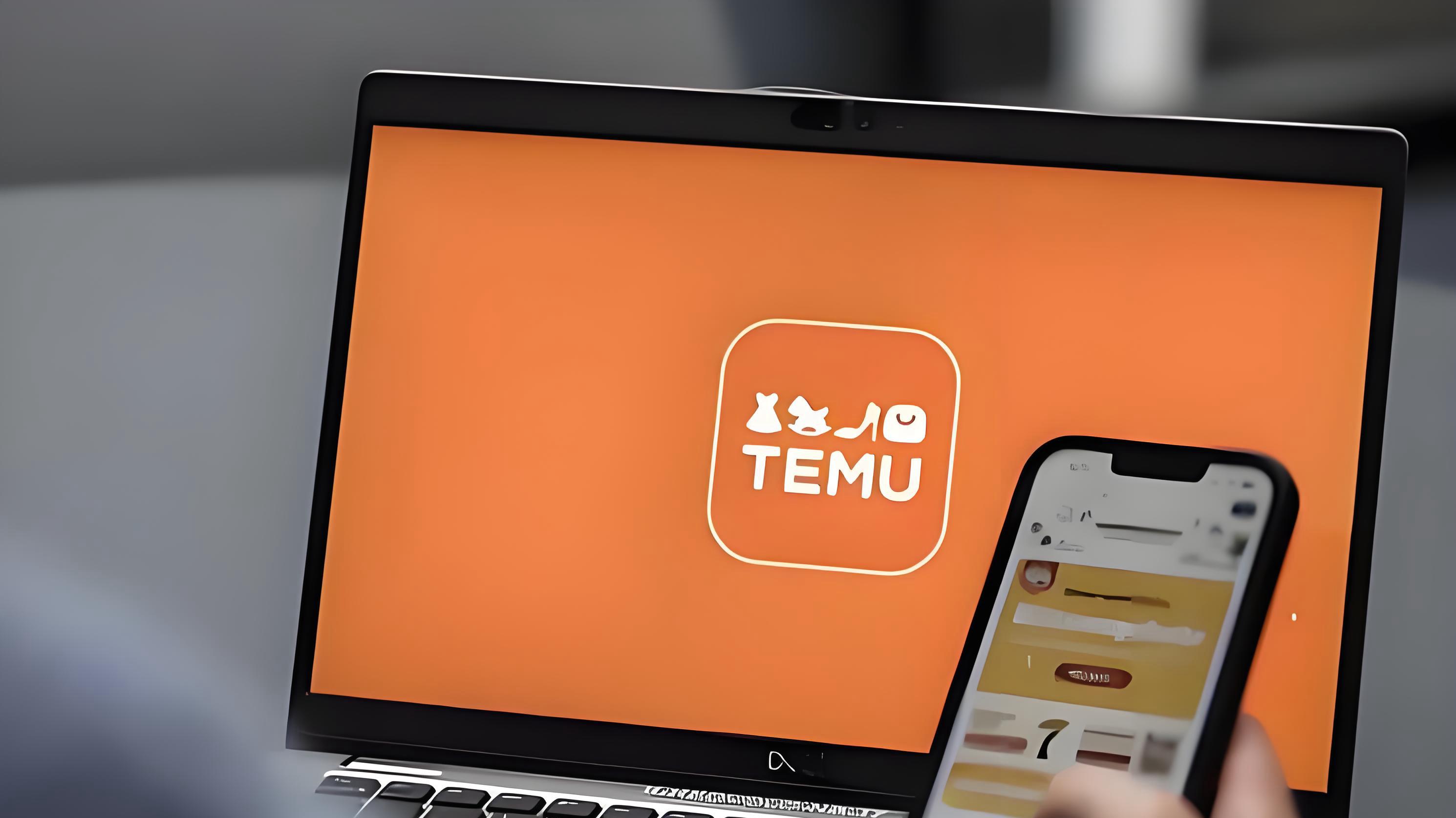 深入解析：TEMU自养号采购的风控应对策略