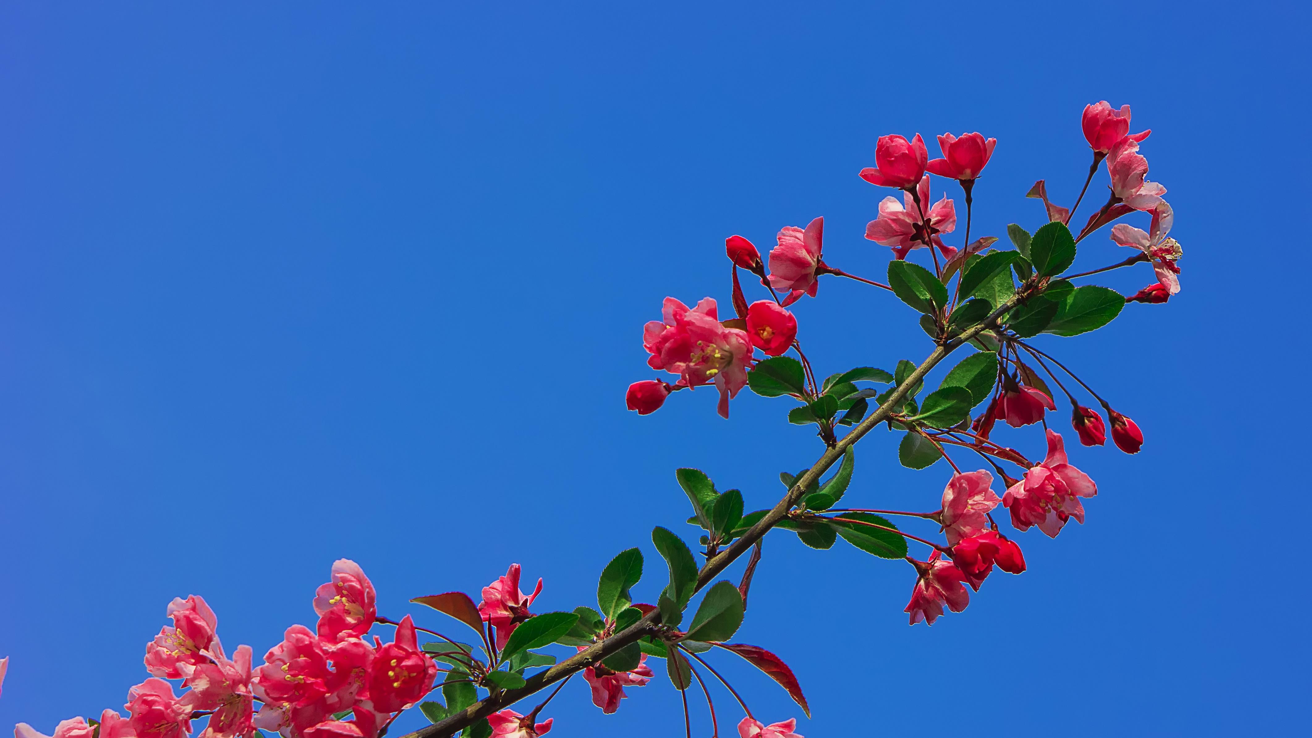 “神舟二十一号”，今晚上天！
