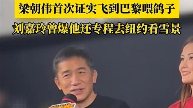 梁朝伟刘嘉玲分居式婚姻，丁克21年财务独立，日本养老细节首曝光