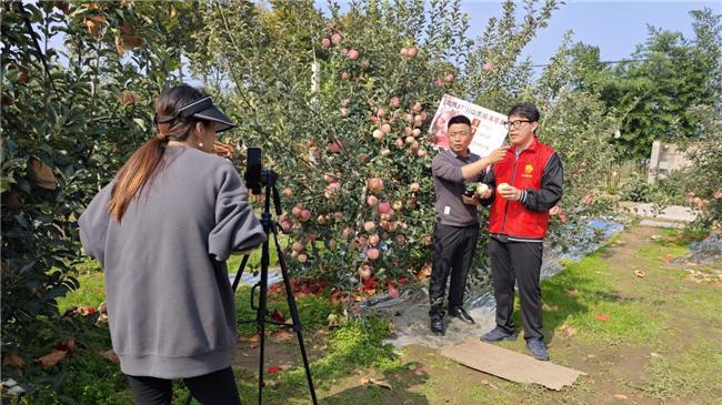山东威海文登区：苹果“甜”满致富路 志愿帮扶送温暖