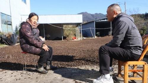 河南新县：金果铺满园 香飘致富路