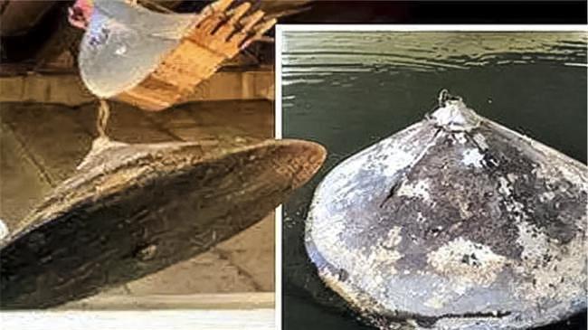 美国德拉瓦河神秘金属物体事件调查报告，其内部发现核动力系统的物质