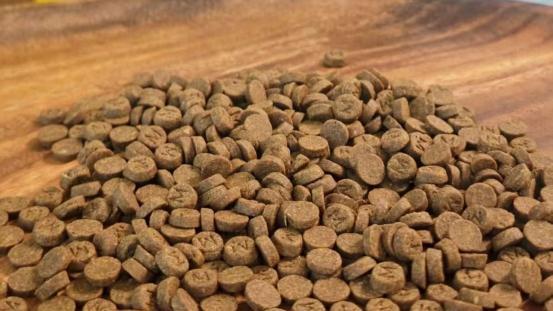 泰迪狗狗吃什么牌子的狗粮好？十大品牌狗粮推荐