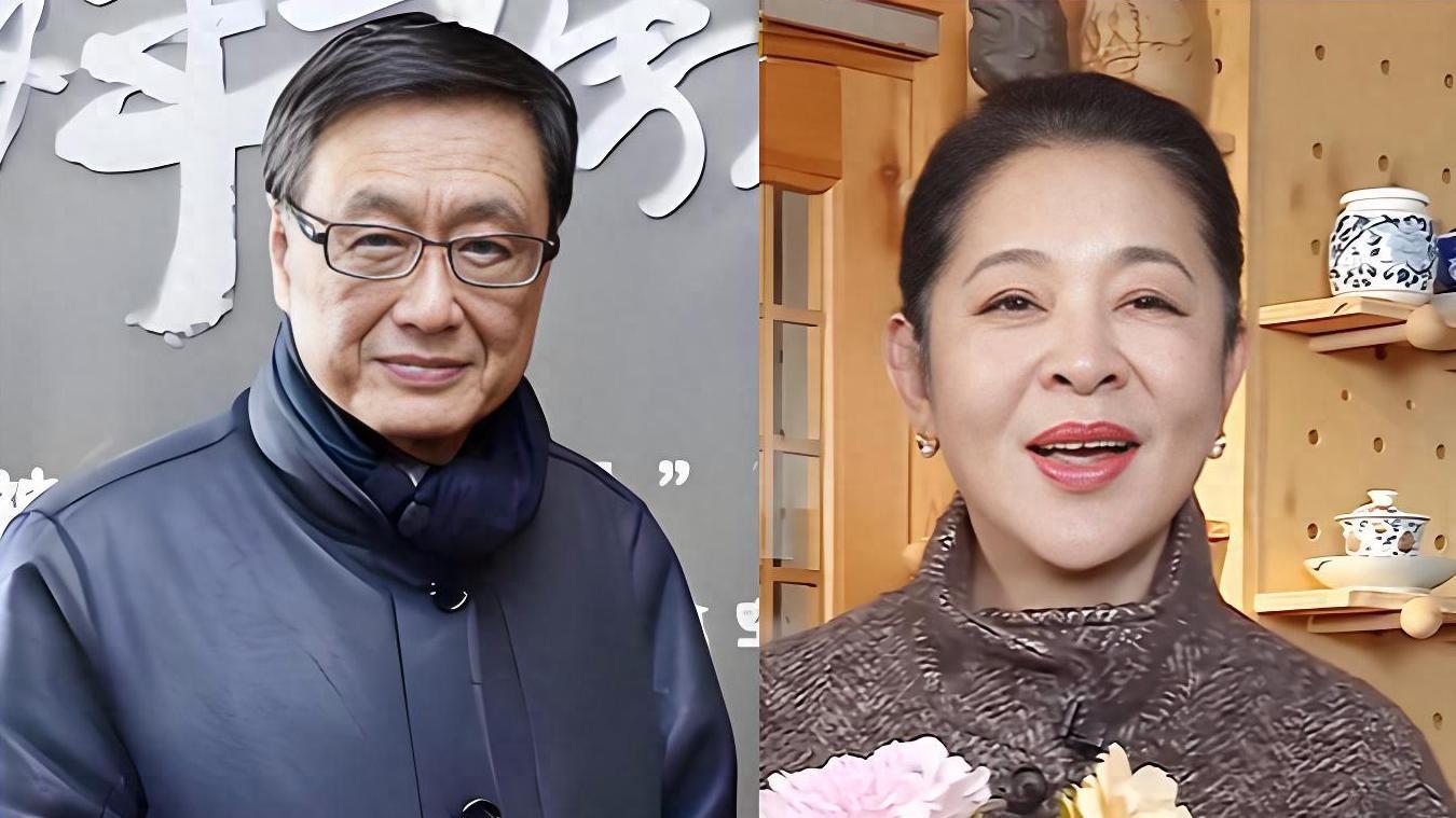 王文澜：与倪萍离婚不是“甩锅”眼疾儿子，真实原因曝光