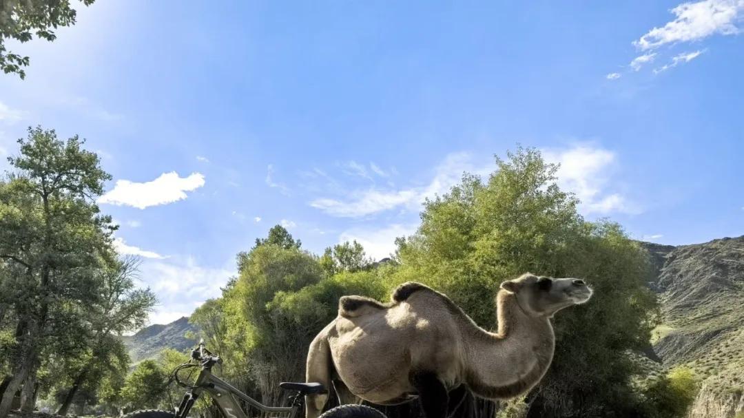 全新骑旅线路已送达，请注意查收！