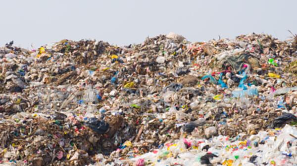 不消号，不发文，熬到吃里扒外的垃圾编辑下岗滚蛋了再来发文！