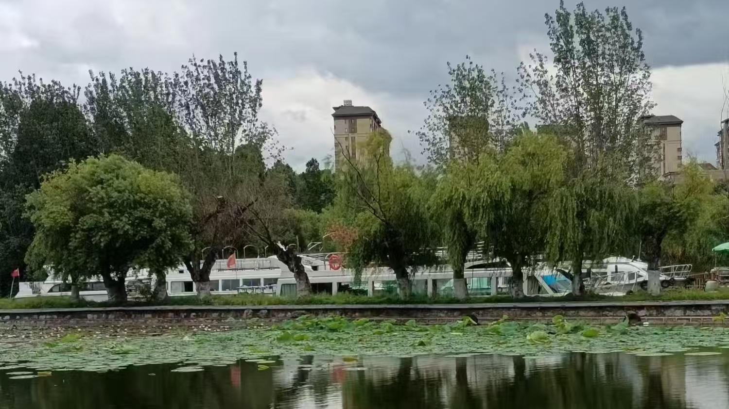 一纸谱牒背后的陈氏宗族之争