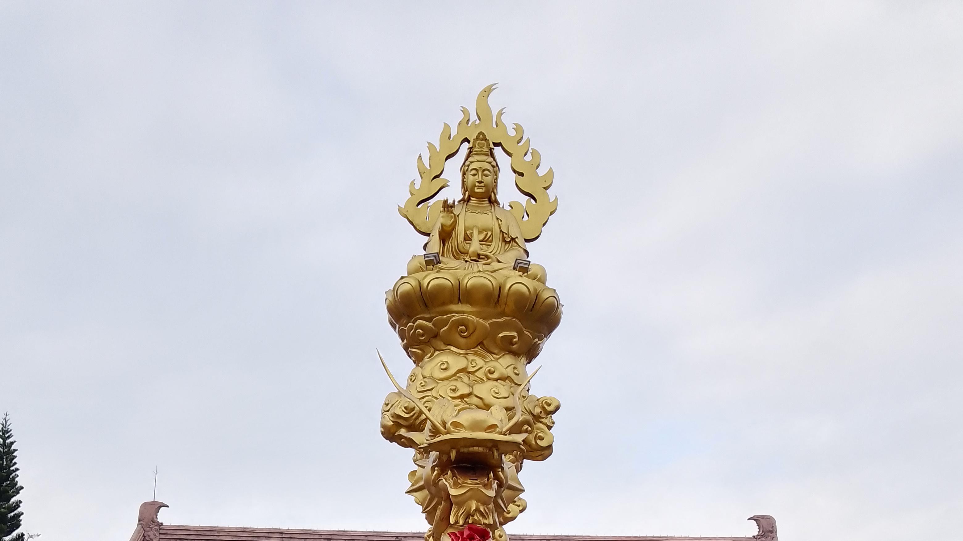 在"世界长寿之乡"直播！澄迈人长寿秘诀100问：（3）为啥要问世界长寿乡代言？