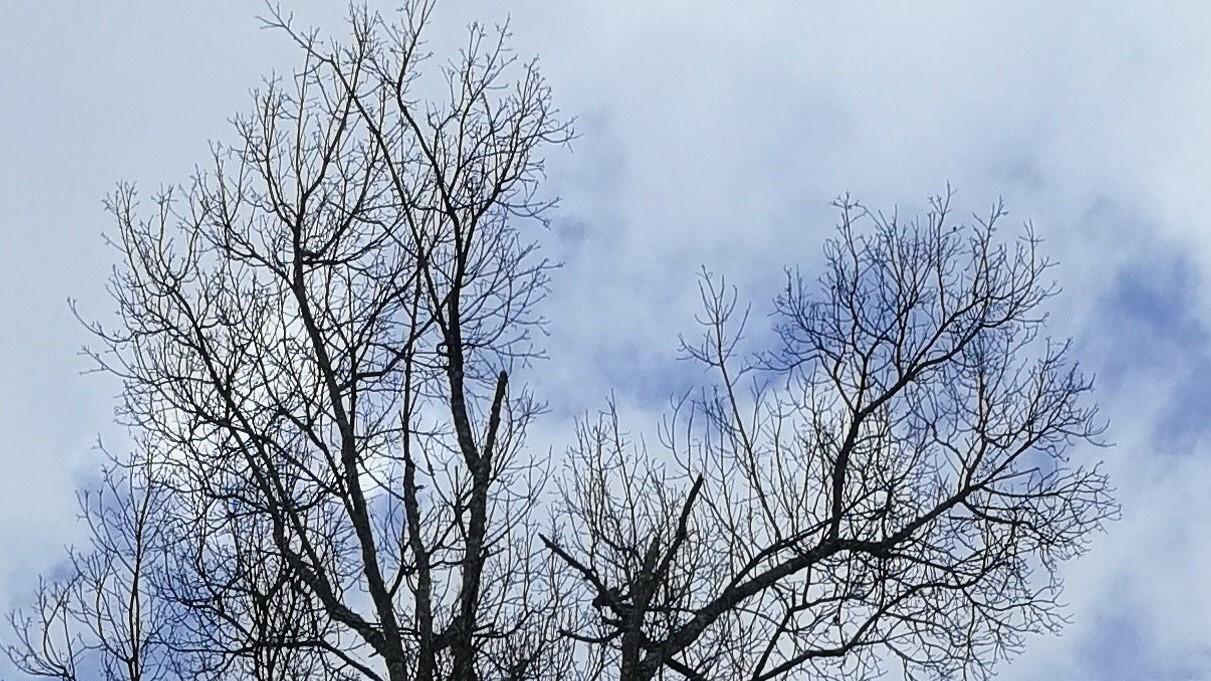 人在职场：学会放弃，也是能力